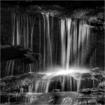 A Splash of Sunshine