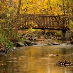 Bridge over Golden Waters