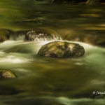 Mountain Stream