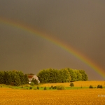 Rainbow in Farm Country