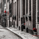 Christmas in the City