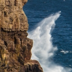 Where Land Meets Sea