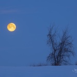Snow Moon Blues