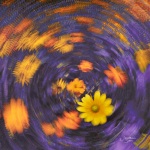 Summer Garden Kaleidoscope